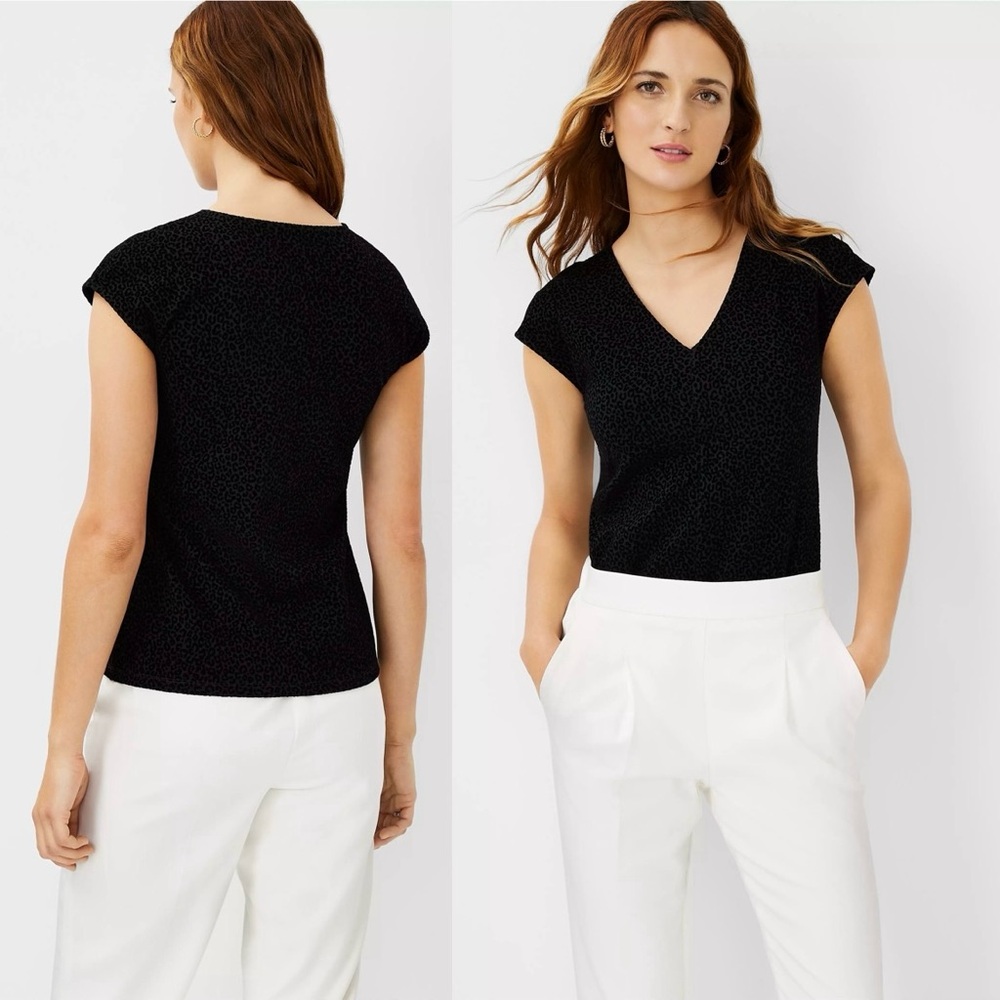 NWT Ann Taylor V-Neck Top (M) Cap Sleeve, Black